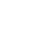 File Icon