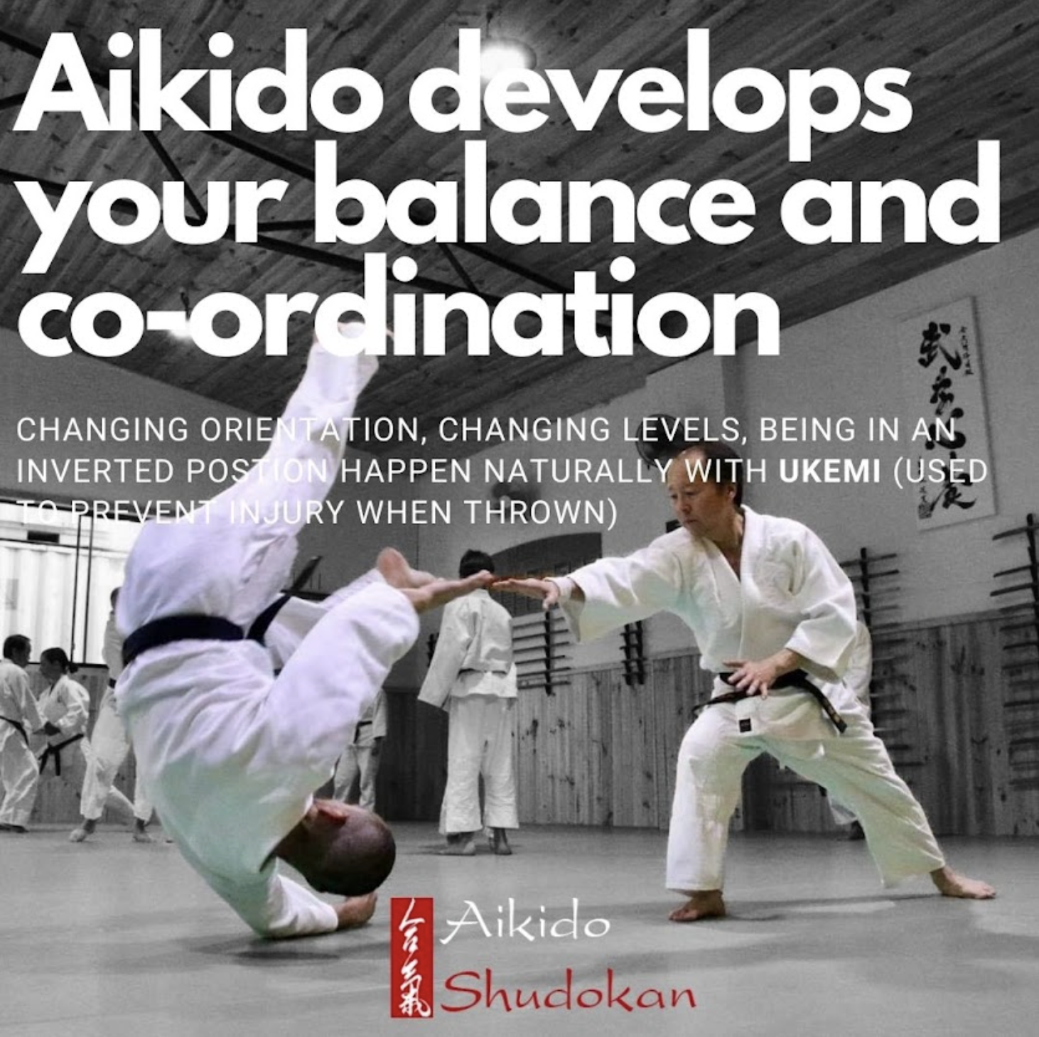 aikido balance