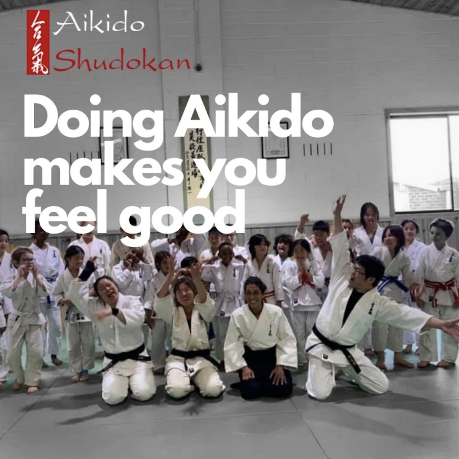 aikido feeling