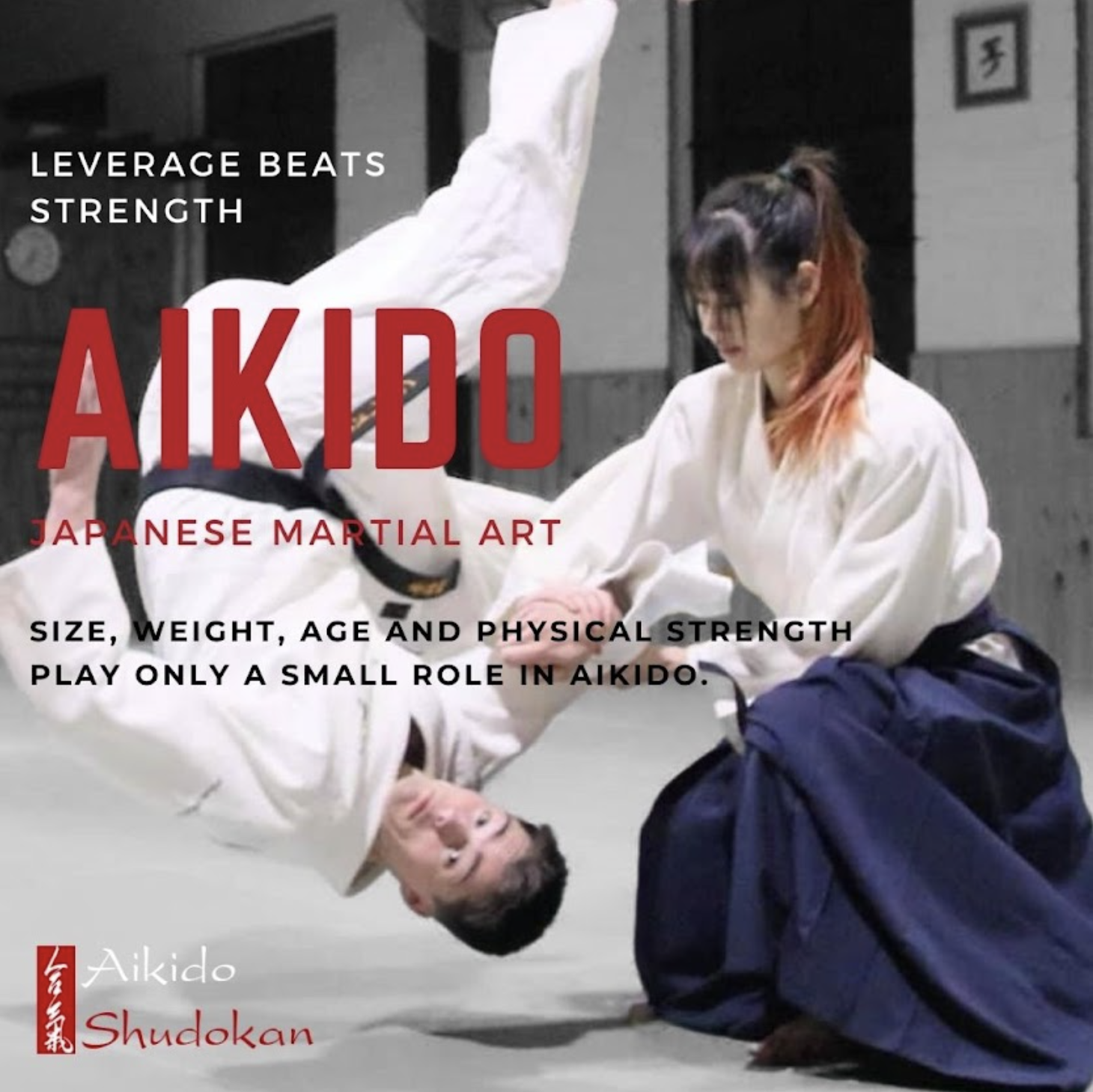 aikido leverage