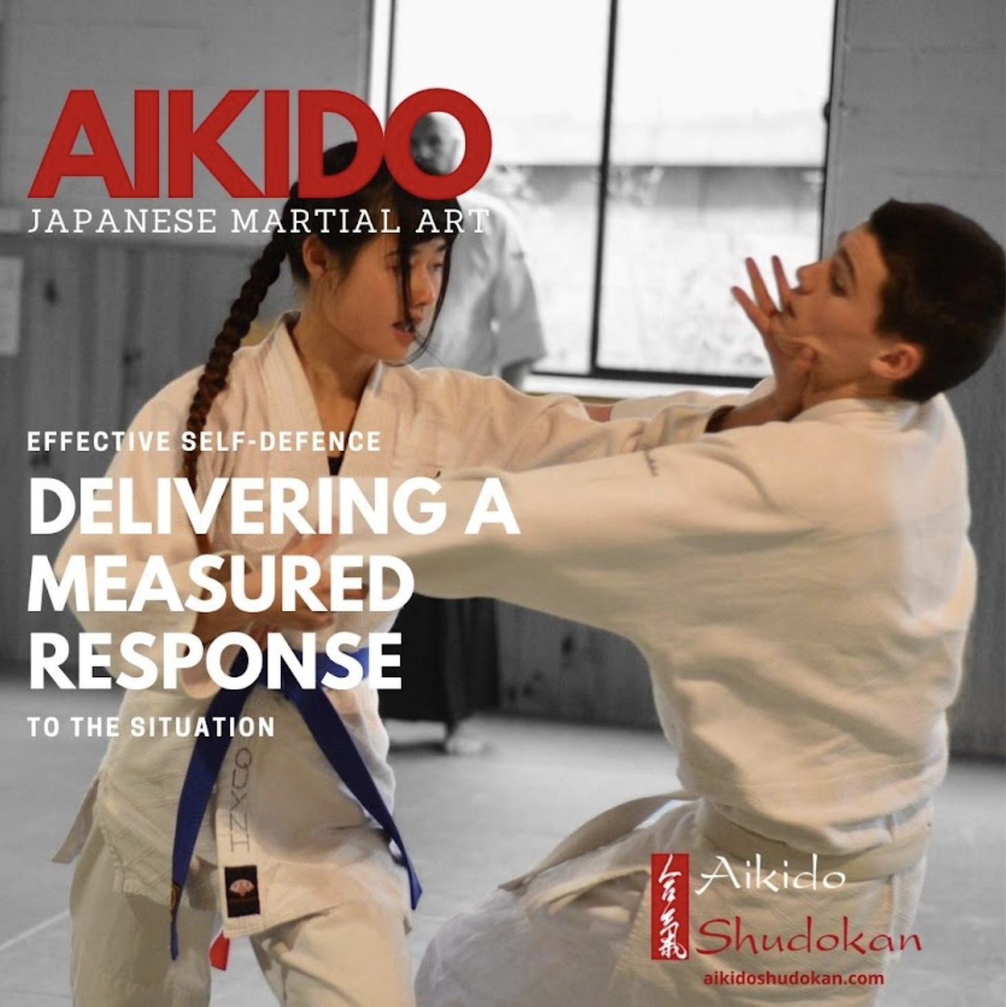 aikido defence