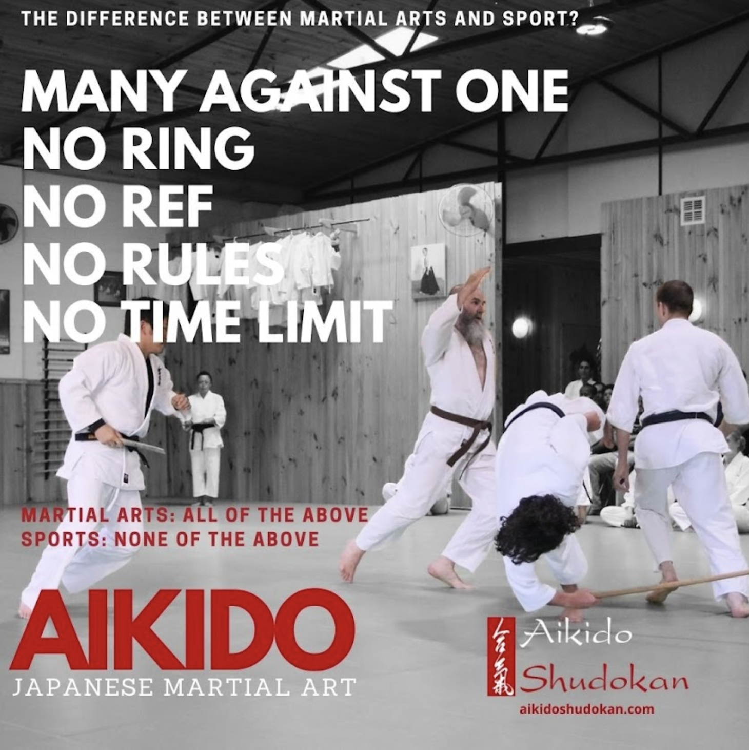 Aikido the difference